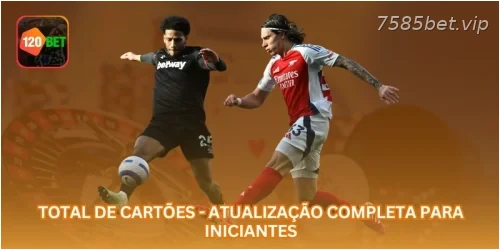 Total de Cartões - Atualização Completa para Iniciantes